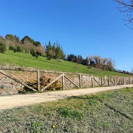 Apartment Atico Mirador Del Naranco, Parking Gratuito, Wifi, Zona Residencial *